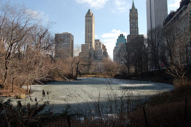 One of the frozen ponds in Central Park.
